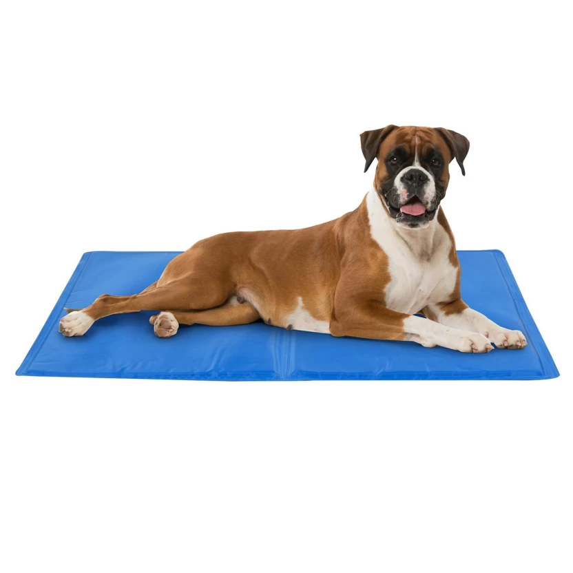 Dierenproducten - Maxxpro Grote blauwe verkoelende gelmatten voor huisdieren 50x65cm