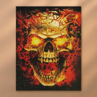 DIY - Diamond picture burning skull diamond painting - 30x40cm