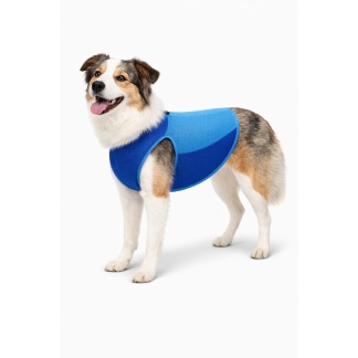 Pet products - Blue cooling vests for dogs size M