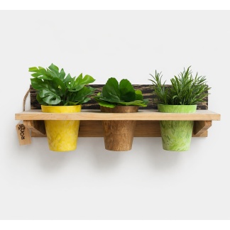 Houten wandrekset van Roots met 3 Artstone potten - 125553