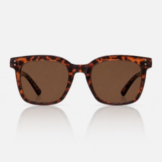 Bruine cateye zonnebrillen ImpulsFashion