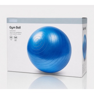 Blauwe opblaasbare fitnessballen - 65 cm