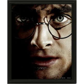 Ingelijste 3D-wanddecoratie met Harry Potter afbeelding