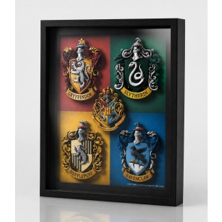 Ingelijste 3D-wanddecoratie met Harry Potter-thema