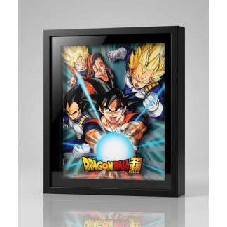 Dragonball Z 3D-afbeelding in lijst