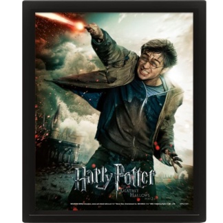 Ingelijste 3D-wanddecoratie met Harry Potter afbeelding