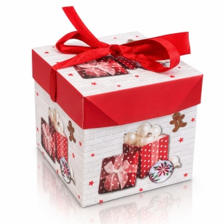Kerstgeschenkdozen met rood satijnen lint – 10,5 x 10,5 cm