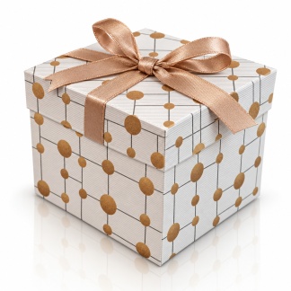 Geschenkdoosjes met een patroon van lijnen en stippen en satijnen lint – 10,5 x 10,5 cm